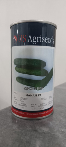 بذر خیار ماهان 2500 عددی اصل آمریکایی US Agriseeds